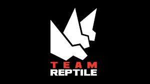 Výrobca:  Team Reptile