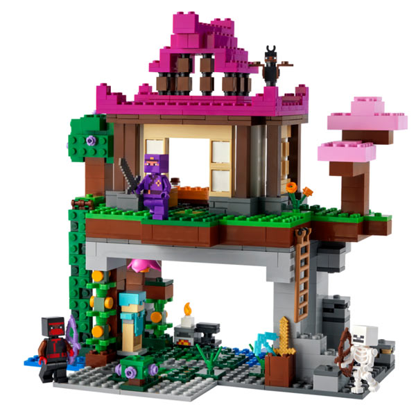 LEGO Minecraft: The Training Grounds