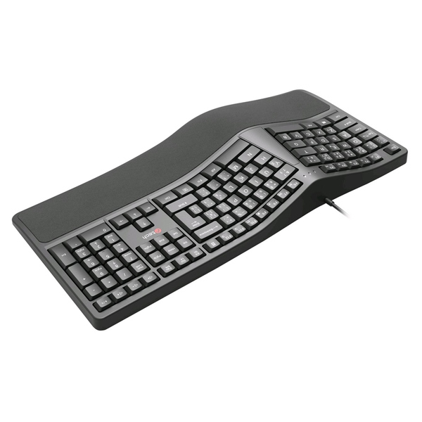 C-Tech KB-113E USB Ergo CZ/SK, černá