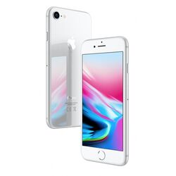 Apple iPhone 8, 256GB | Silver, Třída C - použité s DPH, záruka 12 měsíců na playgosmart.cz