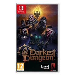 Darkest Dungeon II (NSW)