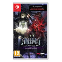 Anima: Gate of Memories (Arcane Edition) na playgosmart.cz