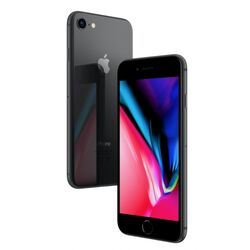 Apple iPhone 8, 256GB | 
 Space Gray, Třída C-použité, záruka 12 měsíců na playgosmart.cz