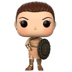 POP! 
 Wonder Woman Amazon (Wonder Woman) na playgosmart.cz